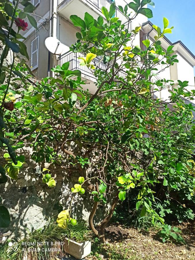 Apartament Lemons House Monterosso al Mare Zewnętrze zdjęcie